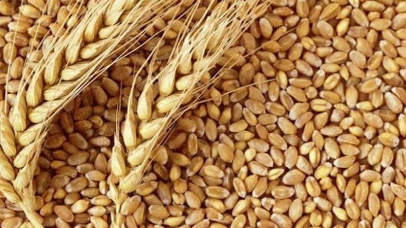 14 Haziran 2023 Gaziantep Ticaret Odası ürün fiyatları: Buğday 8 TL, pirinç 26 TL, rafine ayçiçek yağı... 3