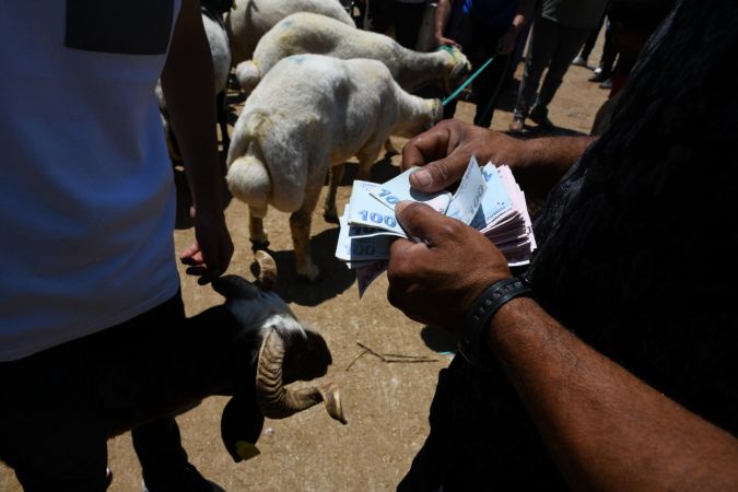 Gaziantep'te hayvan pazarında arife günü yoğunluğu yaşanıyor... Gaziantep'te Vatandaşlar Kurban Fiyatları'ndan yakınıyor 4