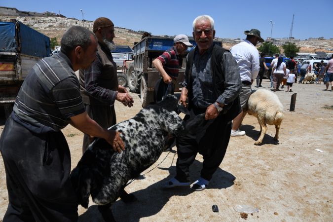 Gaziantep'te hayvan pazarında arife günü yoğunluğu yaşanıyor... Gaziantep'te Vatandaşlar Kurban Fiyatları'ndan yakınıyor 6