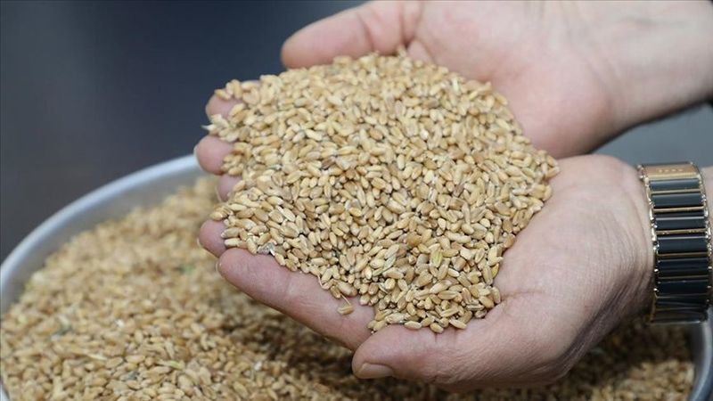 Büyük patlama sonrası buğday fiyatlarında şok! Buğday fiyatları artacak mı? Kritik açıklama geldi… 3