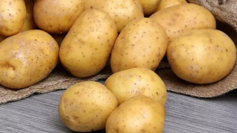 Patatesler arasındaki bu farkı bilmiyor olabilirsiniz: Kızartmalık patates ile yemeklik patates birbirinden çok farklı… Bu şekilde ayırt edin 2