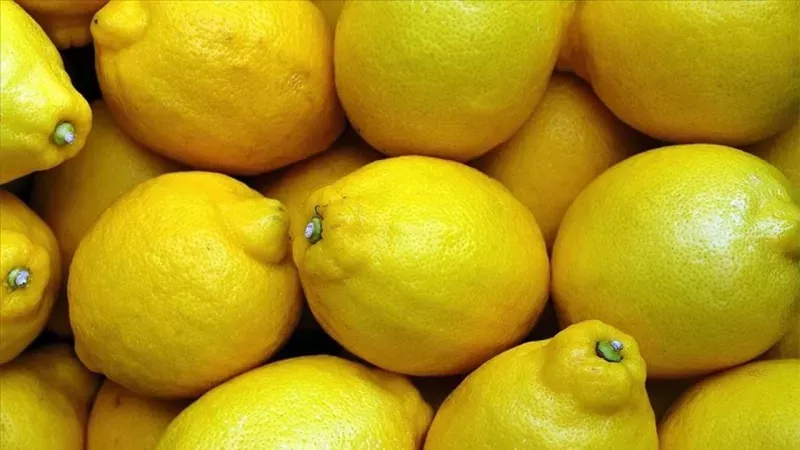 Limonu yanlış tüketiyormuşuz! C vitamini özelliği bu yöntemle açığa çıkıyor! Meğer kesildiğinde… 2