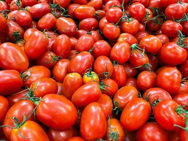 Çürük domatesleri atanlar pişman olacak! Meğer bilinmeyen bir etkisi varmış 2