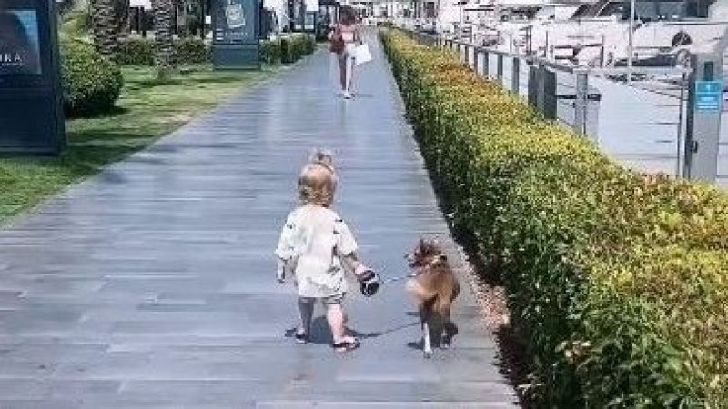 Kıvanç Tatlıtuğ'un oğlu Kurt Efe köpeğiyle yürüyüş yaptı, ilginin odağında kaldı: "Babasının aynısı!" 4