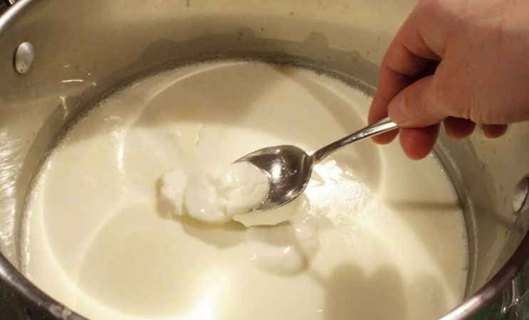 Yoğurt ekşimiyor! Kullanıldığında yoğurdun günlerce bozulmasını da engelliyor... 2