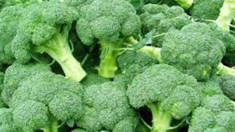 Bu faydalarını duyunca diyet listenize ekleyeceksiniz! Brokolinin az bilinen çok faydaları 1