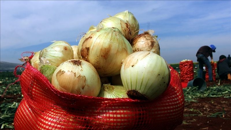 Kulağınıza soğan koyun ve sadece bekletin. O sorunu geçiren tek yöntemmiş 3