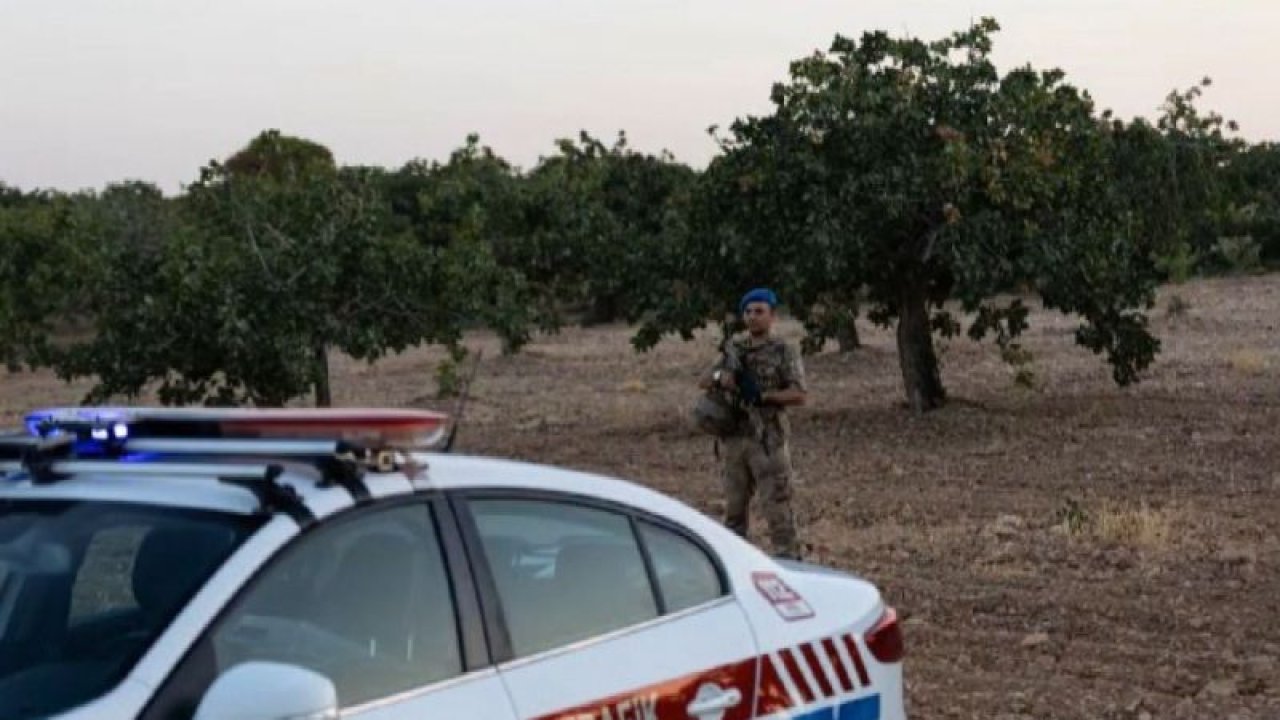 Gaziantep'te “yeşil altın” hırsızlarına yönelik operasyonlarda 108 kişi tutuklandı