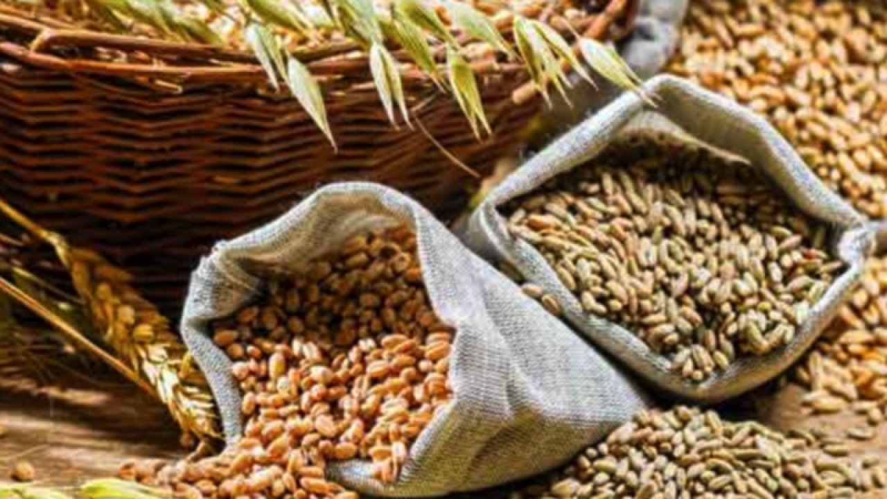 Gaziantep Ticaret Borsası 28 Eylül Perşembe 2023 Mercimek, Arpa, Mısır ve Buğday Fiyatlarını Açıkladı. Gaziantep'te arpa, mısır ve Ekmeklik Buğday'ın fiyatı ne kadar?