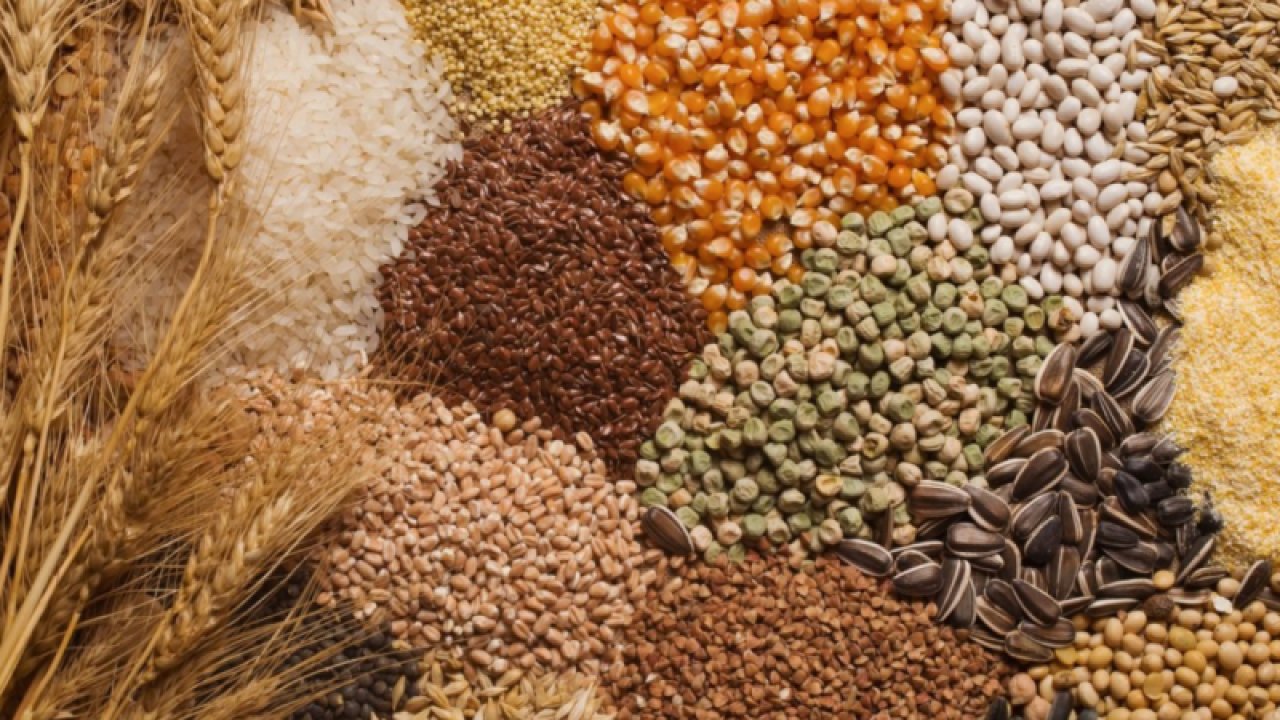 Gaziantep Ticaret Borsası 17 Ekim Salı 2023 Mercimek, Arpa, Mısır ve Buğday Fiyatlarını Açıkladı.
