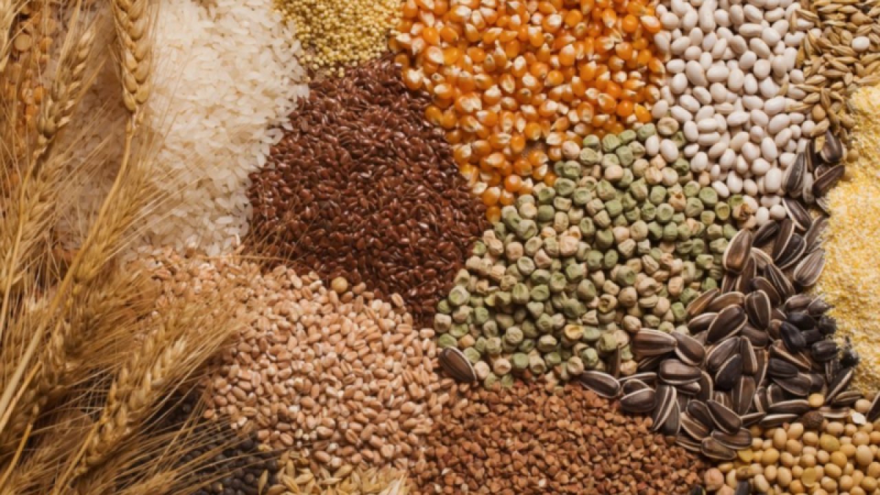Gaziantep Ticaret Borsası 20 Ekim Cuma 2023 Arpa, Mısır ve Buğday Fiyatlarını Açıkladı. Gaziantep'te arpa, mısır ve Ekmeklik Buğday'ın fiyatı ne kadar?