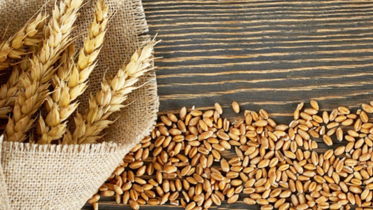 Gaziantep'te arpa, mısır ve Ekmeklik Buğday'ın fiyatı ne kadar? Gaziantep Ticaret Borsası 24 Ekim Salı 2023 Arpa, Mısır ve Ekmeklik Buğday Fiyatlarını Açıkladı.