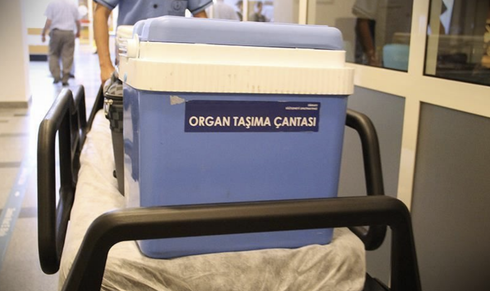 Türkiye'de 21 yılda 74 binden fazla organ nakli gerçekleştirildi