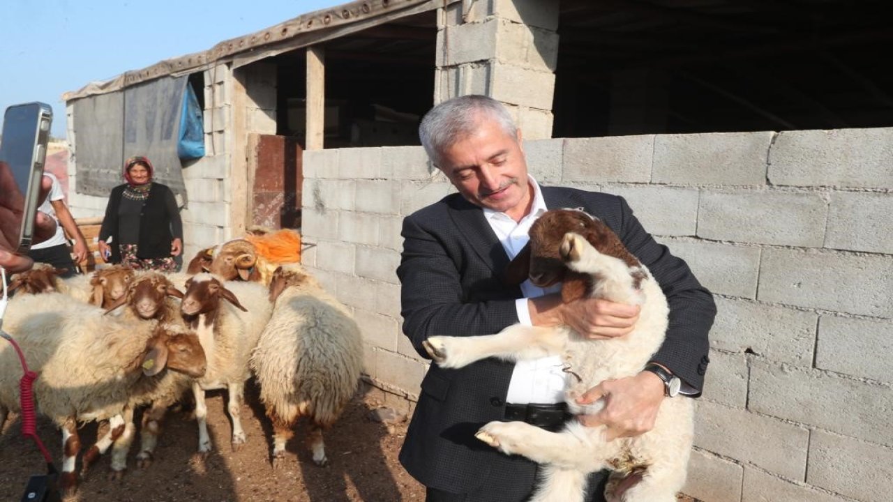 Başkan Mehmet Tahmazoğlu: Hayvancılığa desteğimiz sürecek