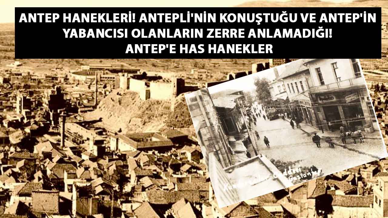 Antep Hanekleri! Antepli'nin konuştuğu ve Antep'in yabancısı olanların ZERRE ANLAMADIĞI! ANTEP'E HAS HANEKLER