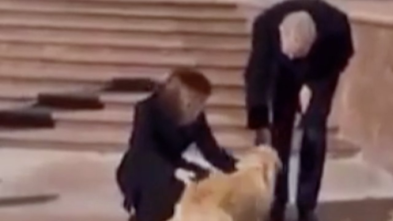 Moldova Cumhurbaşkanı’nın köpeği, Avusturya Devlet Başkanı’nı ısırdı