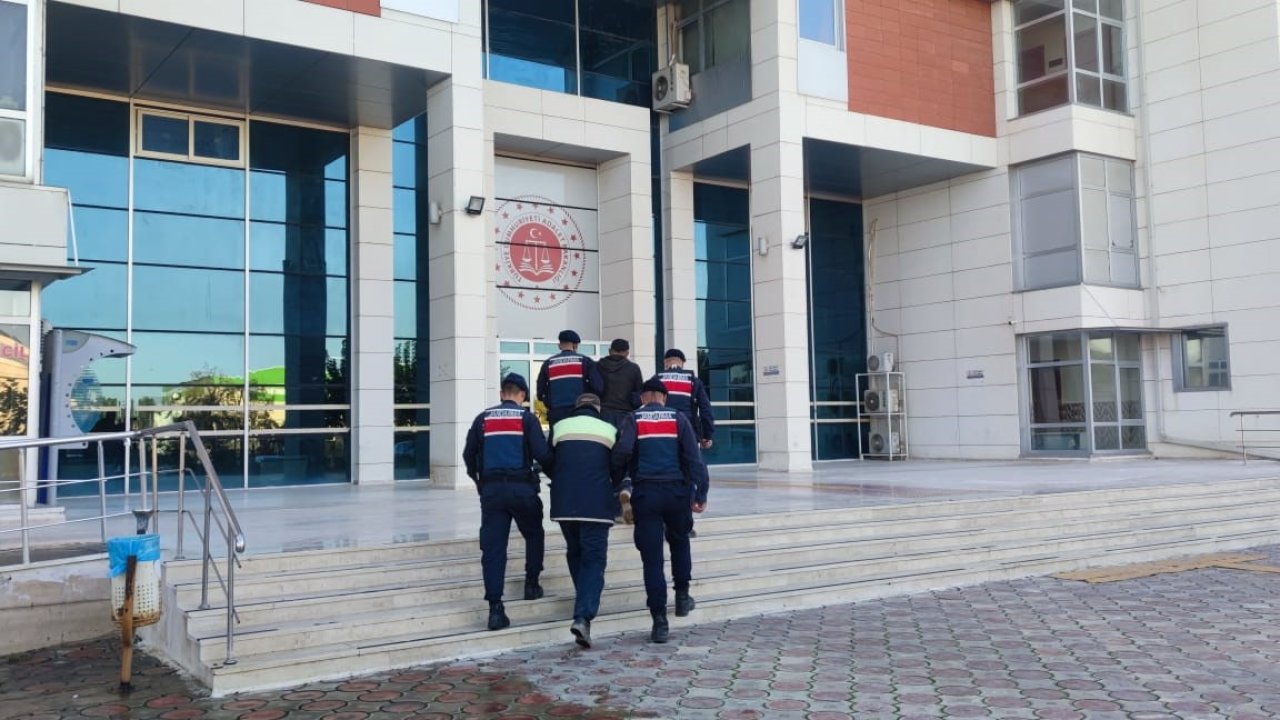 Gaziantep'te zeytin hırsızları Jandarma dedektiflerinin ağına takıldı