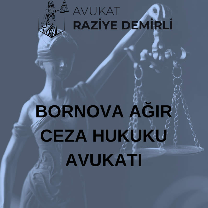 Bornova Ağır Ceza Hukuku Avukatı: Hukuki Zorlukların Üstesinden Gelenler