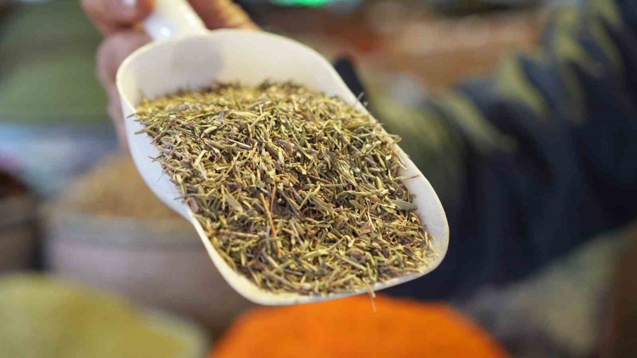 Zahter çayı resmen gribin düşmanı! Gribal enfeksiyonlara karşı doğal ilaç zahter çayına ilgi arttı