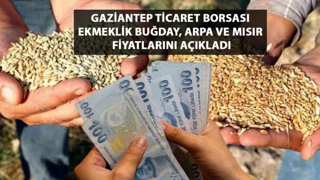 Gaziantep Ticaret Borsası 18 Ocak 2024 Perşembe Kırmızı Mercimek, Buğday, Arpa Ve Mısır Fiyatlarını Açıkladı...