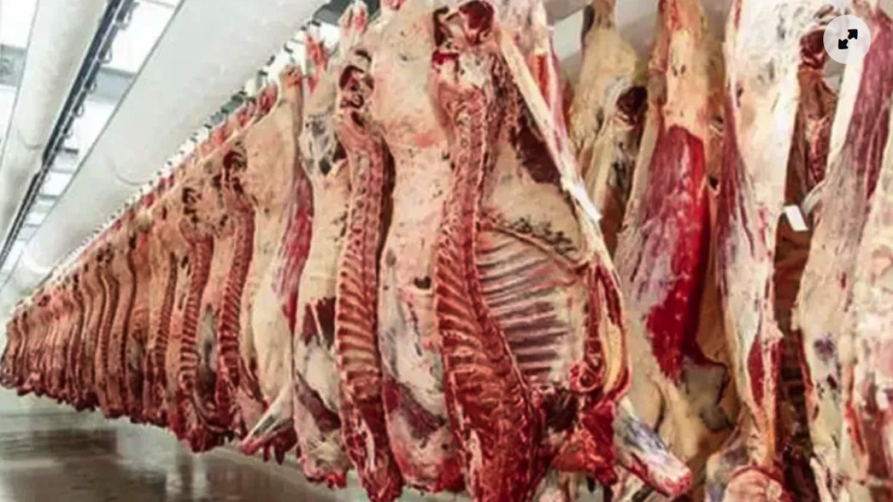 Gaziantep'te karkas et fiyatları kaç lira oldu? Güncel fiyatlar açıklandı!