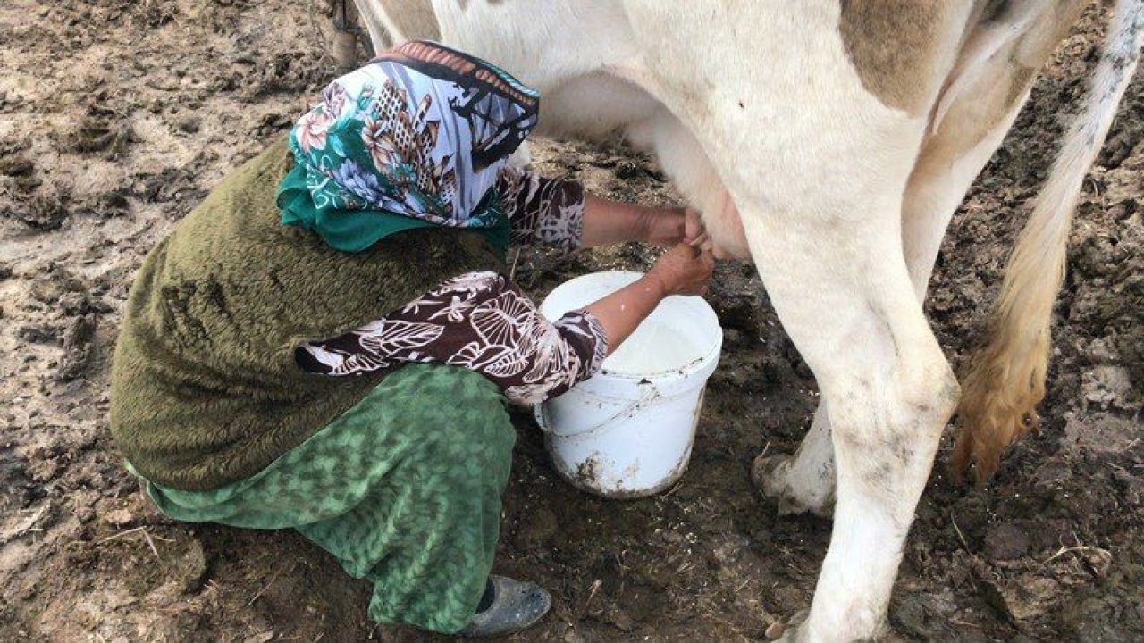 Gaziantep'te tam kapanmada köylünün süt sıkıntısı çözüldü...