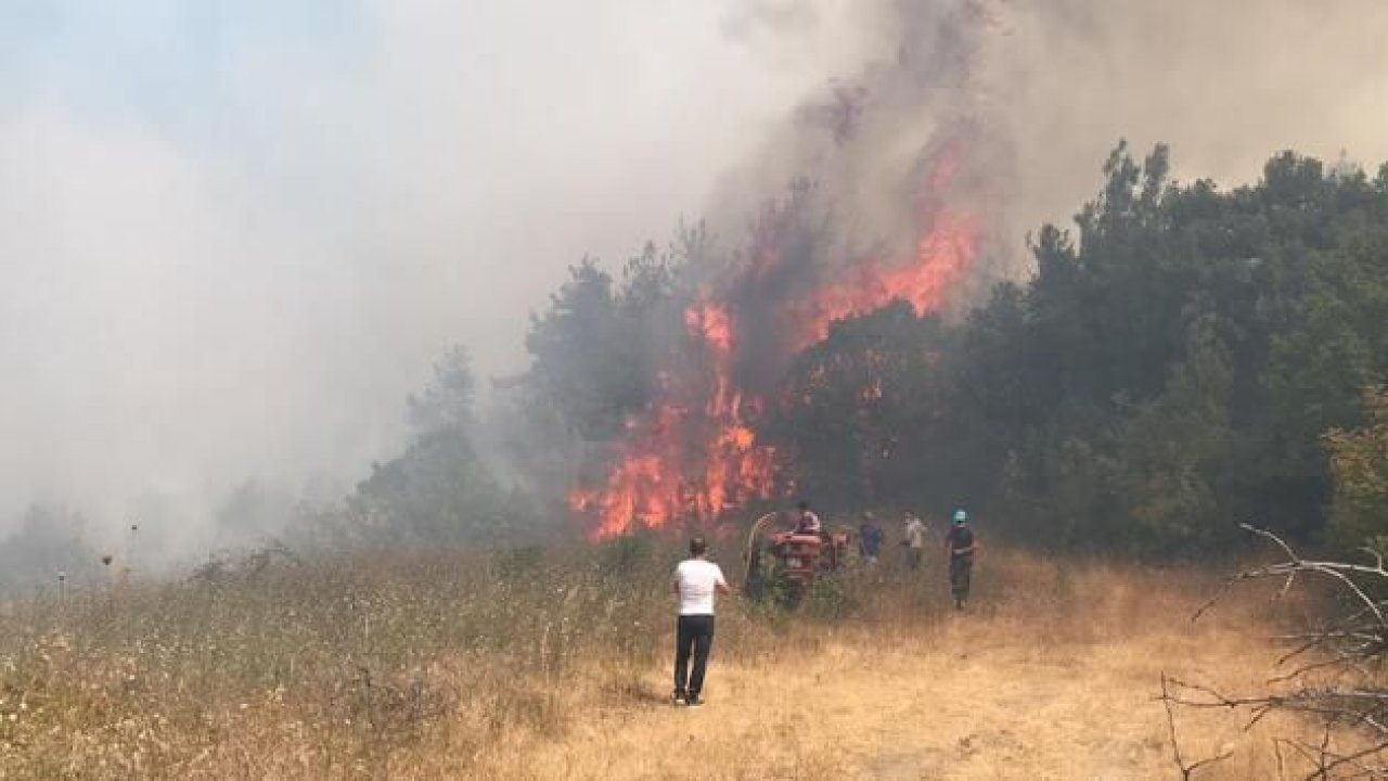 Son Dakika...Gaziantep'in Nizip ilçesinde ormanlık alanda büyük yangın!