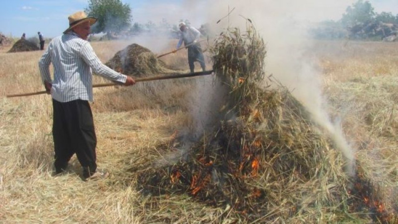 Gaziantep'te yeşil buğday başaklarının ateşte kavrulmasıyla elde edilen firiğin yapımına başlandı