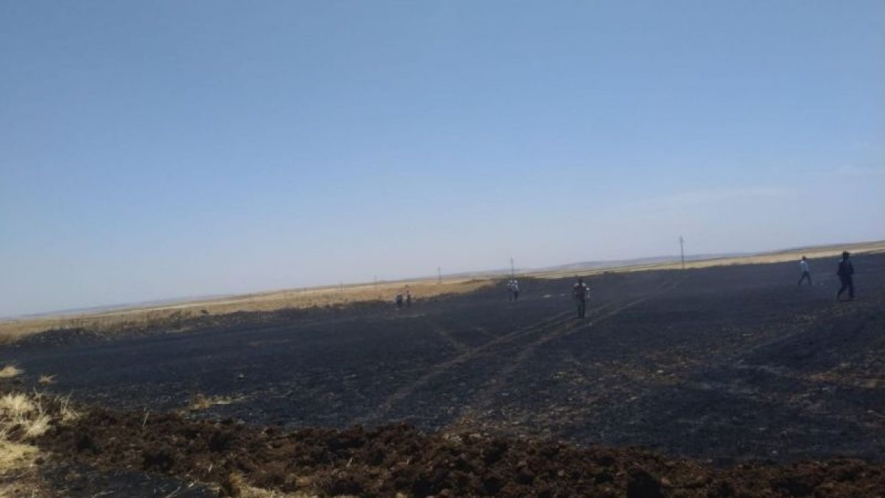 200 dönüm arpa ve buğday ekili tarla yandı