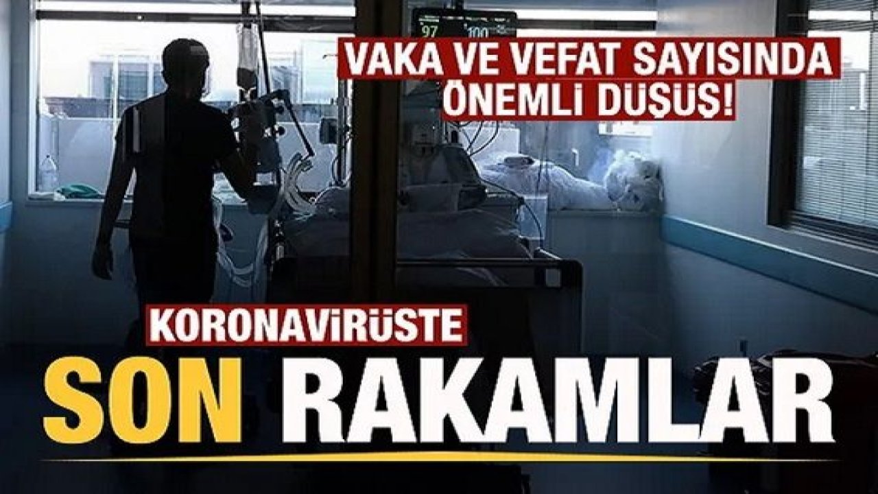 Son Dakika: Türkiye'de 25 Mayıs günü koronavirüs nedeniyle 175 kişi vefat etti, 9 bin 375 yeni vaka tespit edildi