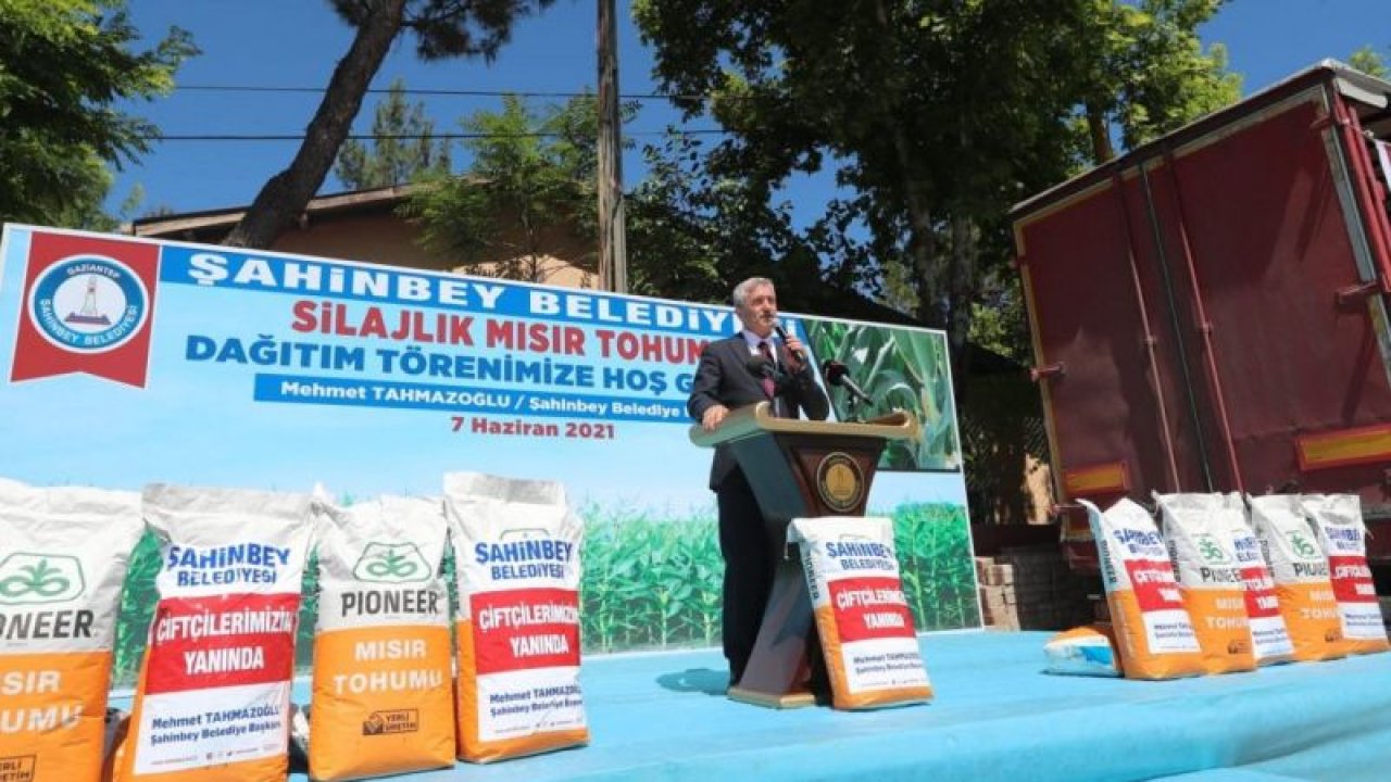 Video Haber...Şahinbey’den çiftçilere silajlık mısır desteği