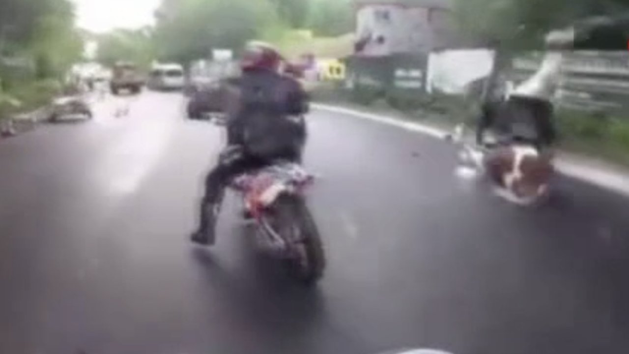 Manevra yapan motosiklet ata çarptı