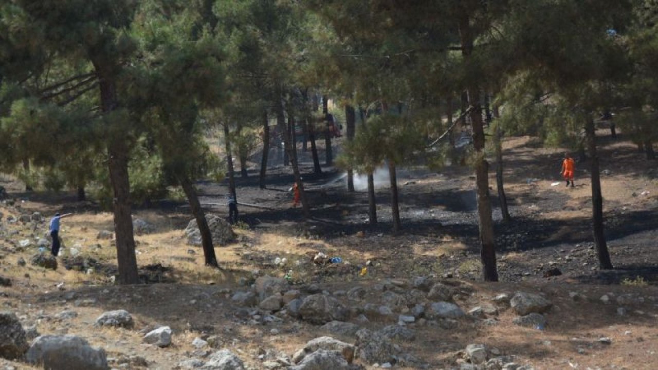 Gaziantep’te Ormanlık Alanda Yangın Çıktı