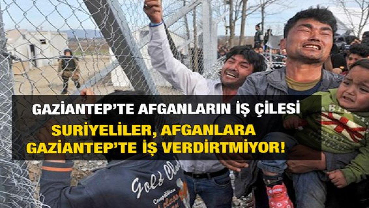 Şehrin Sahibi Kim! Gaziantep'te Afganlara Suriyeli Eziyeti! Suriyeliler, Afganlara  Gaziantep’te İş Verdirtmiyor!