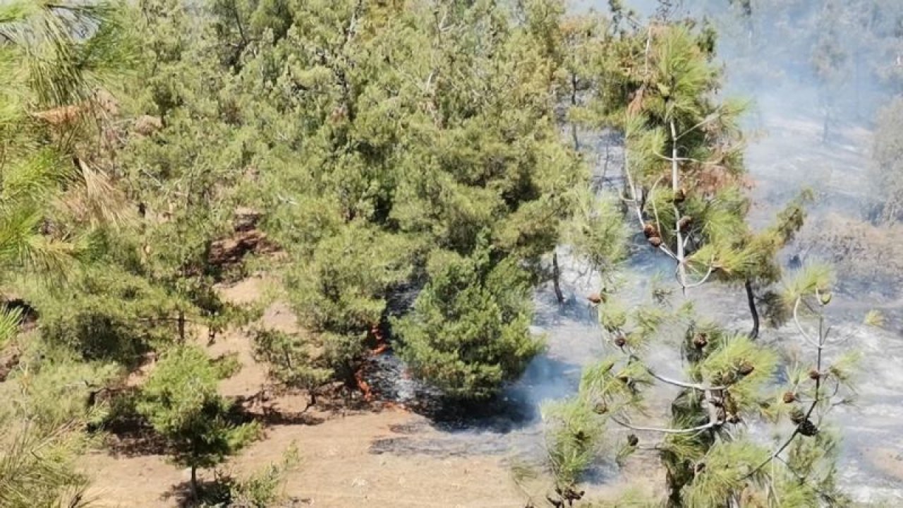 Son Dakika:Video Haber...Kahramanmaraş'ta orman yangını