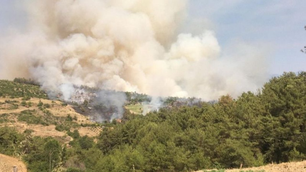 Son Dakika:Video Haber...Osmaniye’de orman yangını
