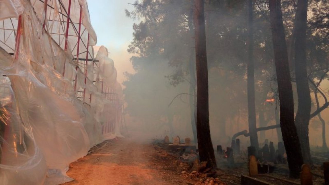 Son Dakika Haber: Manavgat Yanıyor! Muz seraları yandı, traktörler alevlere teslim oldu