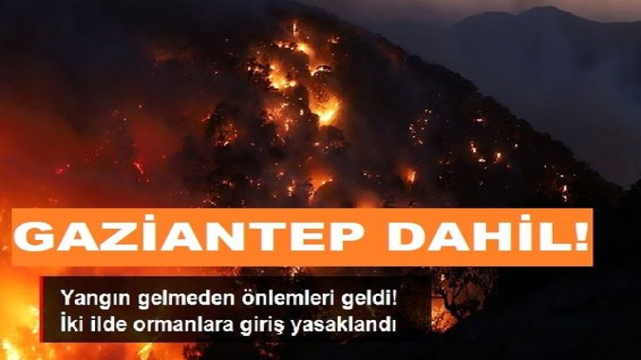 Son Dakika: Video Haber... Gaziantep'te Ormanlara Giriş Ve Piknik Yasaklandı!