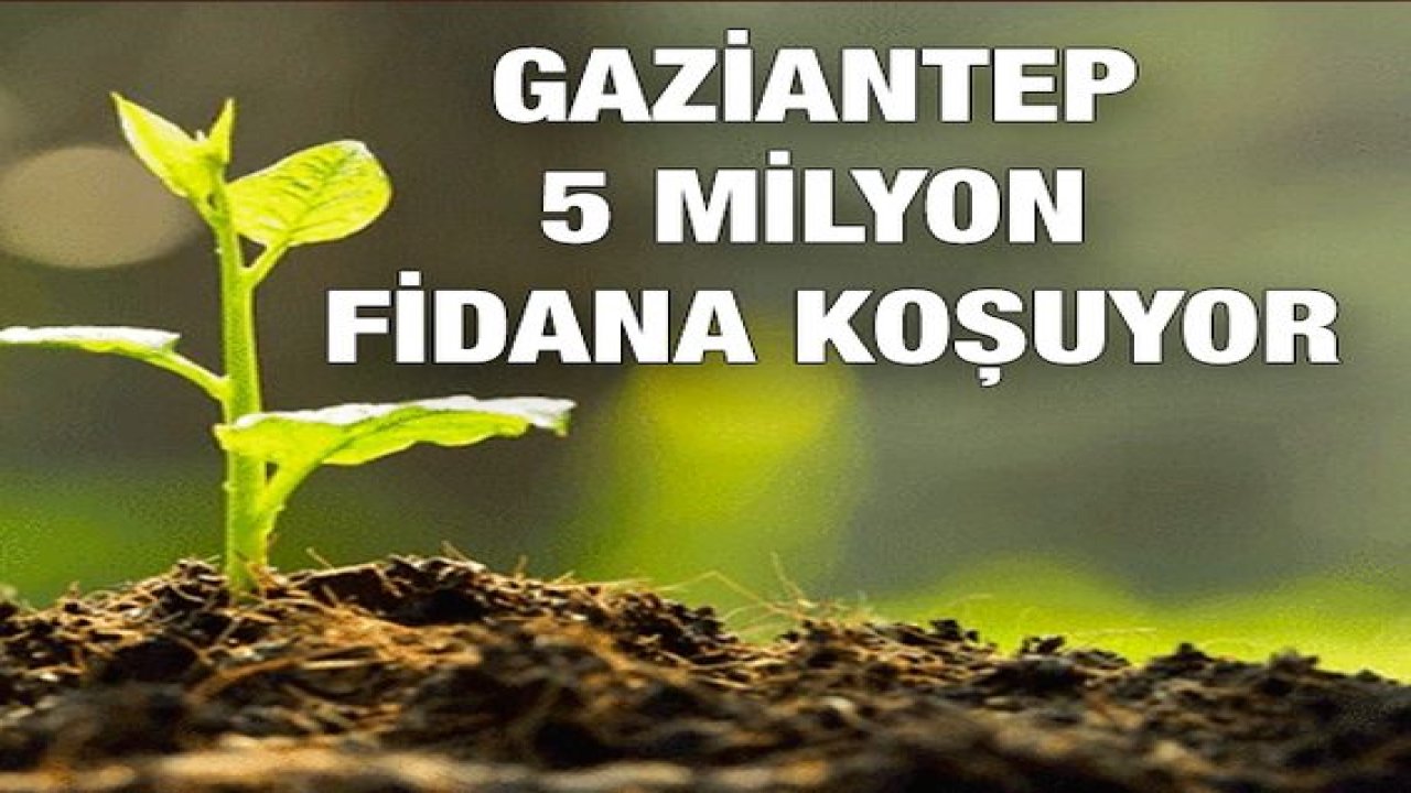 Gaziantep 5 Milyon Fidana Koşuyor