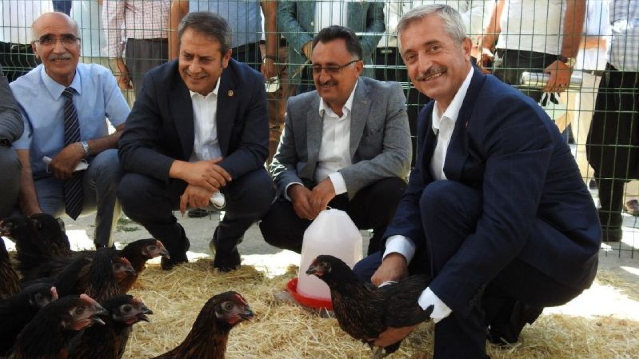 Video Haber: Şahinbey’de 60 bin canlı tavuk dağıtıldı