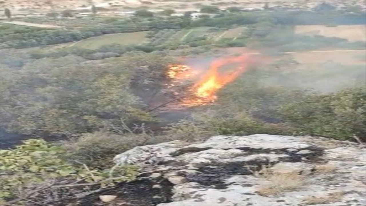 Son Dakika:Video Haber...Gaziantep’te orman yangını