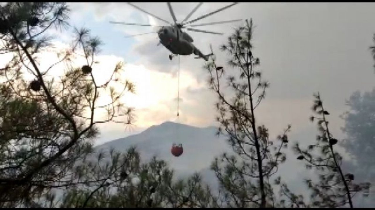 Video Haber...Kahramanmaraş’ta orman yangınında 3 hektar alan zarar gördü