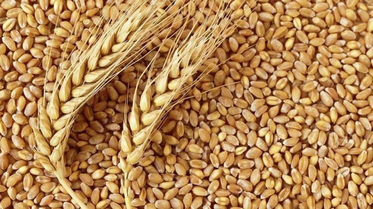 Son Dakika:Gaziantep'te 40 bin ton buğdayı 'ŞAiBELİ ŞEKİLDE' düşük fiyattan  alan hangi makarna fabrikası? Gaziantep'te Bir Fabrikaya 40 Bin Ton " Şaibeli Buğday " Satış İddiası Meclise Taşındı
