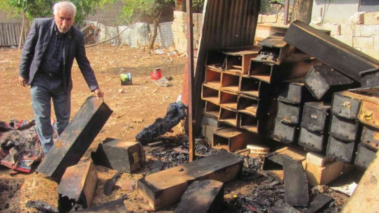Gaziantep'te 25 arı kovanı yandı binlerce arı telef oldu