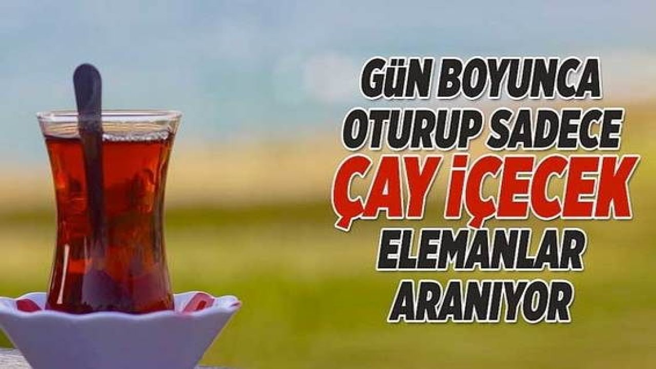 Gün boyunca oturup sadece çay icecek elemanlar aranıyor