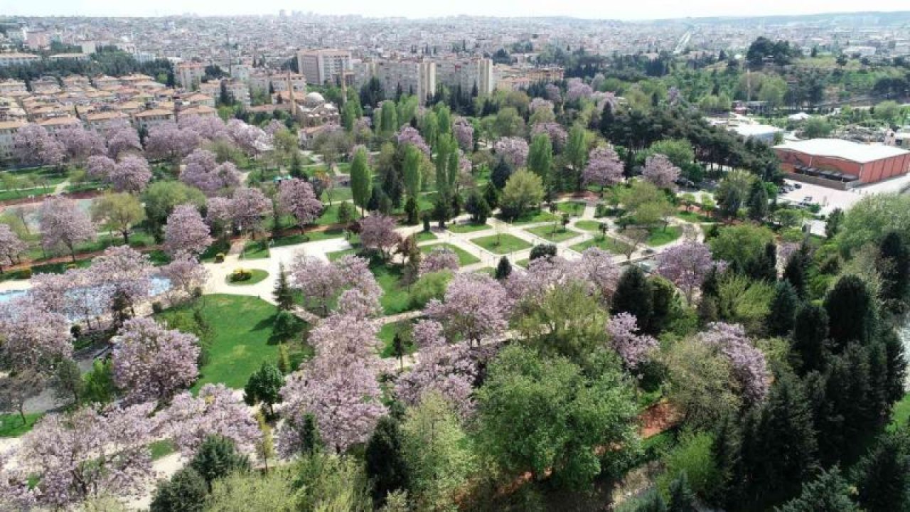 Gaziantep’te Sezai Karakoç anısına edebiyat parkı yapılacak