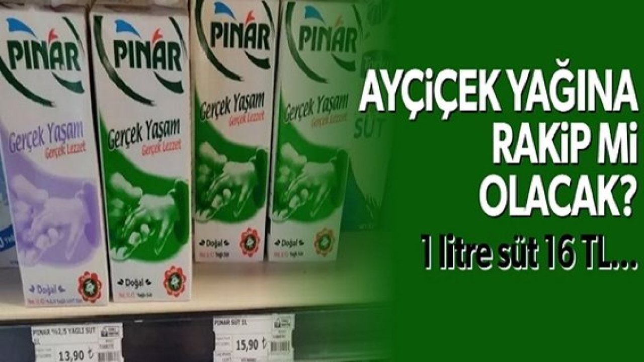 Süt rekora koşuyor... 1 litre süt  Gaziantep Dahil Türkiye'de 16 TL!