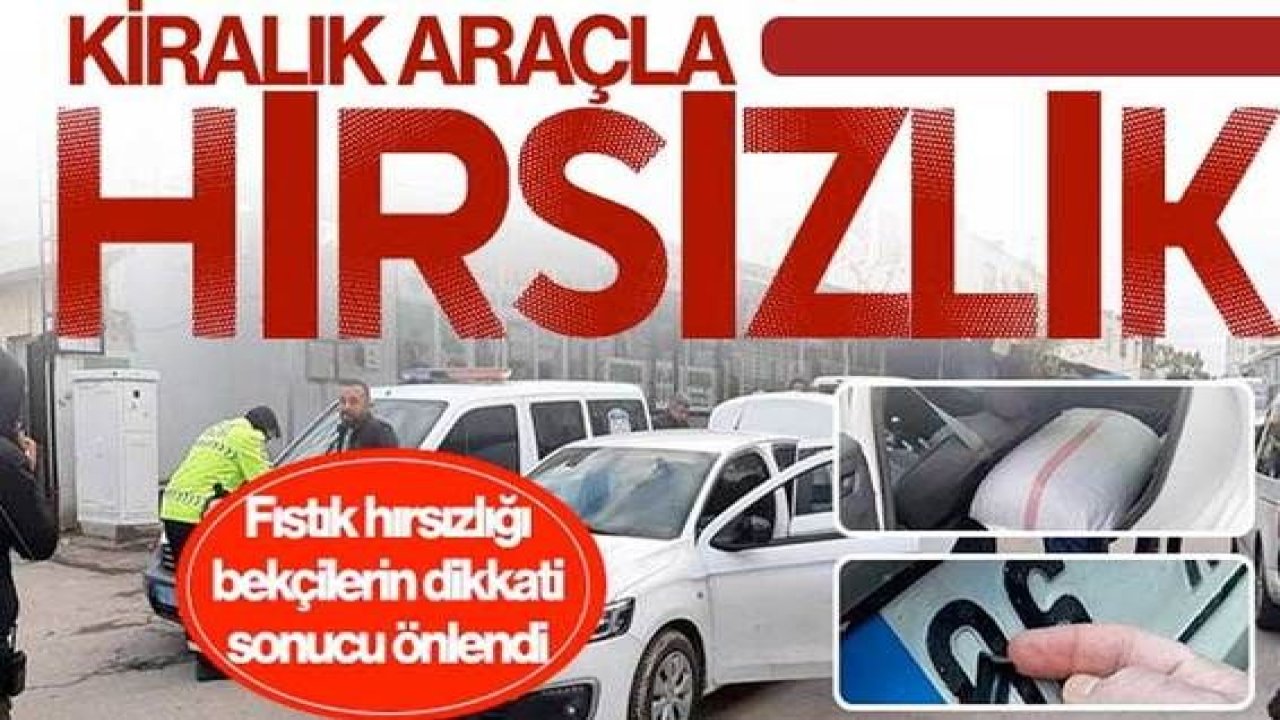 Son Dakika:Gaziantep'te kiralık araçla fıstık hırsızlığı bekçilerin dikkati sonucu önlendi