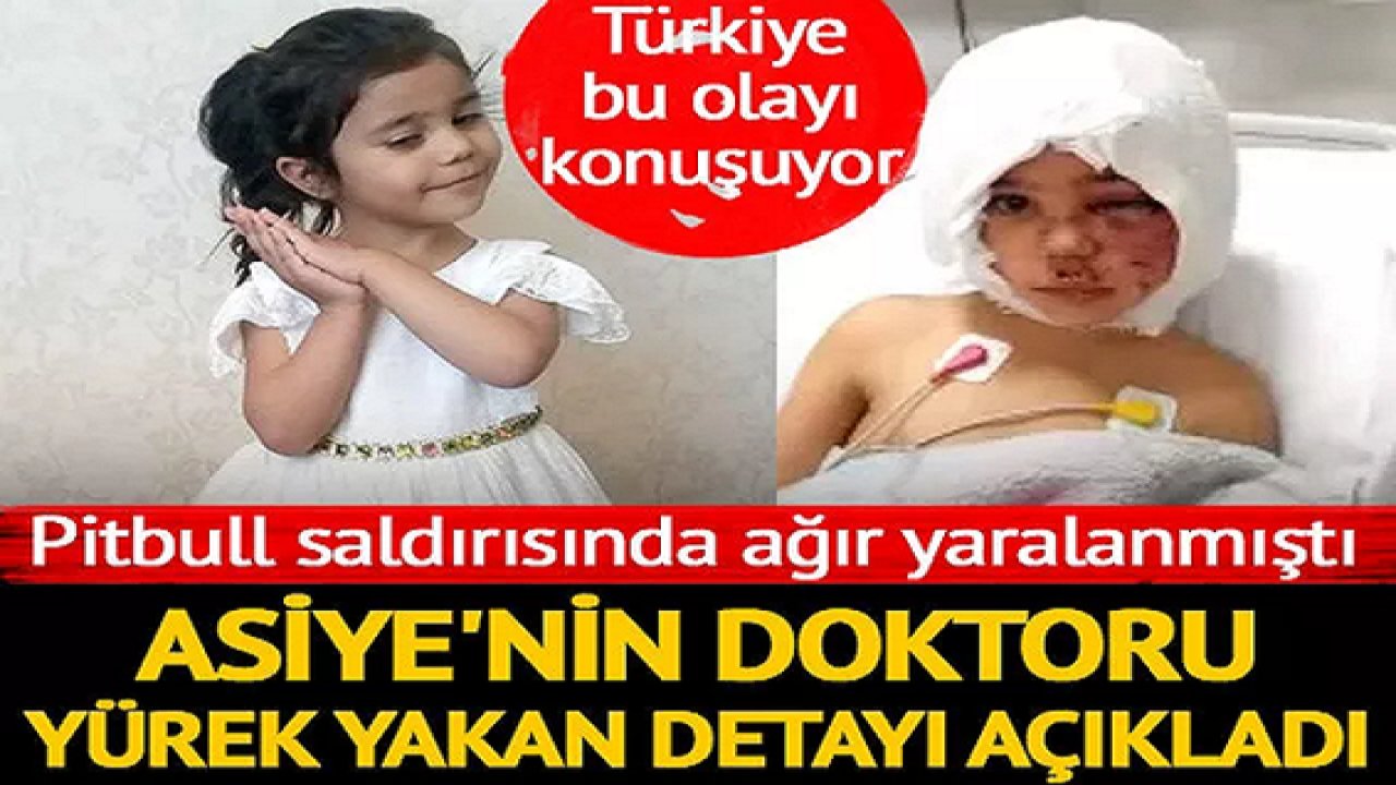 Son Dakika: Gaziantep'te Pitbull saldırısında ağır yaralanan Asiye’nin doktoru Prof. Dr. Ömer Özkan: Kemik eksiklikleri vardı