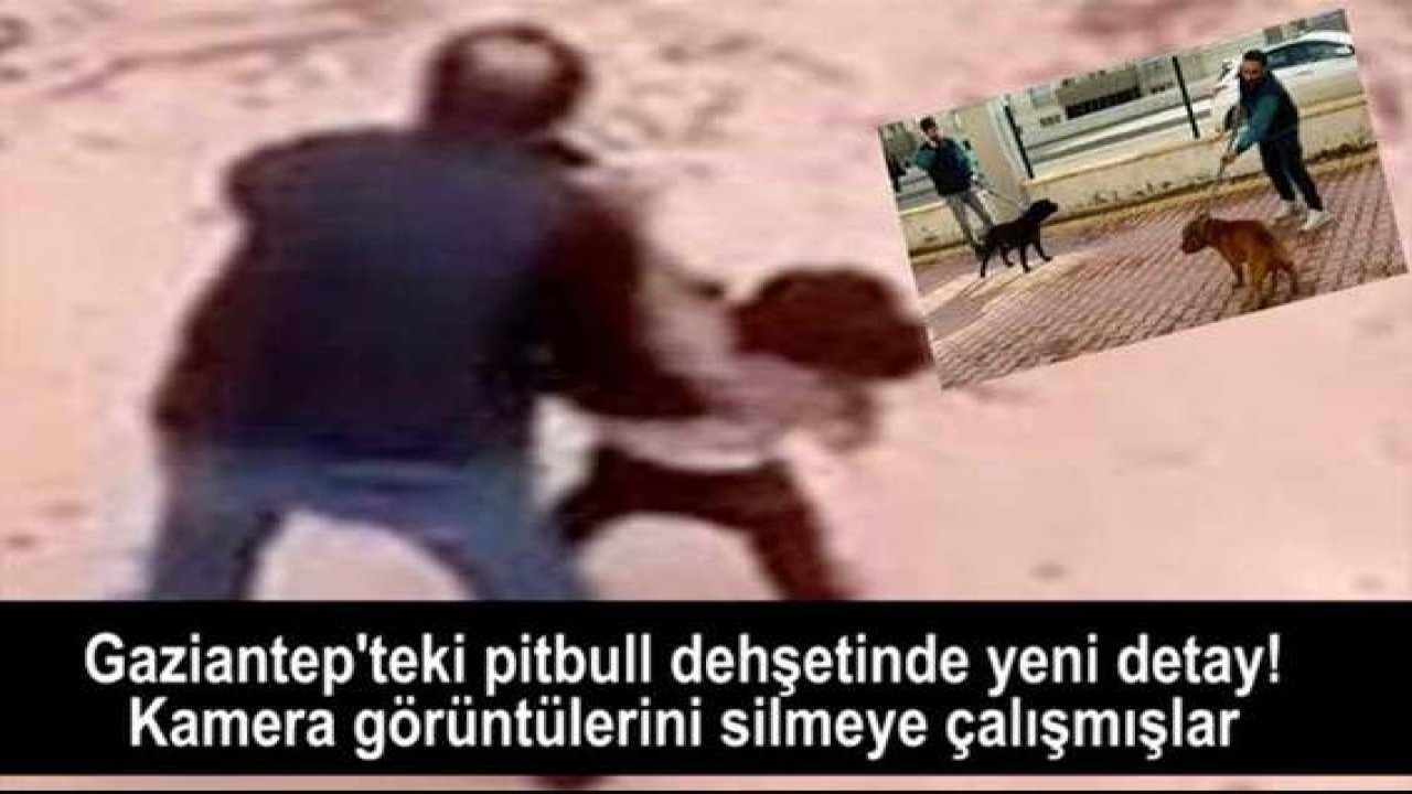 Son Dakika...Gaziantep'te Pitbull saldırısının güvenlik kamerası kayıtları silinmeye çalışılmış